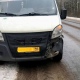 В Курской области машина сбила косулю