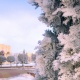           -14 
