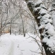15 февраля в Курской области ожидают сильный снег и до 10 градусов мороза