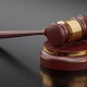 Владелица собаки из Курского района хочет взыскать с ветклиники 1 миллион рублей за смерть щенков