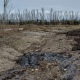 В Курской области спиртзавод сливал отходы в поле