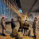 Судебные приставы выдворили из Курской области 20 иностранцев