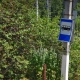 В Курске переименовали 18 остановок общественного транспорта