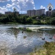 В Курске в гибели девочки возле пляжа обвиняют спасателей