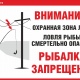 «Курскэнерго» предупреждает: рыбалка вблизи ЛЭП смертельно опасна