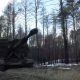 Минобороны РФ о ситуации на 27 февраля: освобожден от ВСУ Никольский