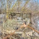 В Курской области спецназ Росгвардии уничтожил танк ВСУ