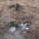 При атаке ВСУ ранен житель курского приграничья