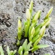 Какая погода на выходных 8-9 марта ожидается в Курской области