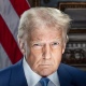Трамп попросил Путина пощадить группировку ВСУ в Курской области