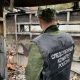 СК РФ возбудил уголовные дела по фактам убийств ВСУ жительниц Курской области