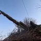 Минобороны РФ сообщает о ситуации в Курской области на 20 марта