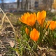 Обширный антициклон принесет в Курскую область солнце и тепло