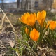 В Курской области 29 марта ожидается от нуля до +16 градусов