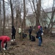 В Курске проходит общегородской субботник