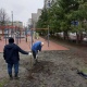 В Курске высадили липы