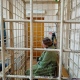 В Курске суд продлил задержание директора «Центр компетенции» Ирины Одерковой