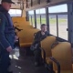 Из приграничных районов Курской области вывезли более 700 человек