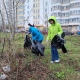 В Курске проходит общегородской субботник