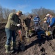 В Курске в Цветовом лесу высадили 15 тысяч саженцев сосны