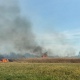 Под Курском тушат пожар на площади 5 гектаров