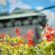 В Курске обновляют городские клумбы