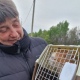Кот из приграничья Курской области преодолел более 1200 км в поисках хозяйки