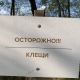 В Курской области по поводу укусов клещей к медикам обратились 304 человека