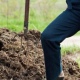 Курянин угрожал заколоть сестру вилами