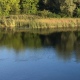       7- 