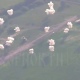 Уничтожен пункт управления БПЛА ВСУ, с которого шли атаки на Курскую область