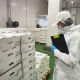 Курское предприятие отправило 9,3 тысячи тонн мясной продукции в Гонконг, Вьетнам, Польшу и Азербайджан