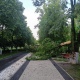 Ураган в Железногорске повалил 500 деревьев