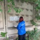 В Курске закрасили 34 надписи, рекламирующие наркотики