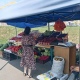В Курске выявили нелегальных уличных продавцов