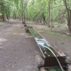 В курских лесах разложили 2,6 тонны соли