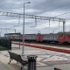 Курские железнодорожники освободили от сорной растительности более 30 га полосы отвода