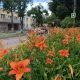 В Курской области 5 июля ожидаются дожди, грозы и до +26 градусов