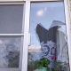 В Железногорске пьяный мужчина справлял нужду с балкона и разбил стекла соседям, бросив в окно урну