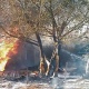 Из-за жительницы Курского района, сжигавшей сухую траву, загорелись соседские дом и гараж