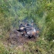 Атаки БПЛА отражены в Курской области