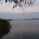 В Курской области утонул рыбак на пруду