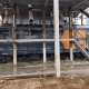 Из Курской области в Ирландию отправили 277 тонн жома
