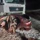 В Курской области грузовик столкнулся с легковушкой