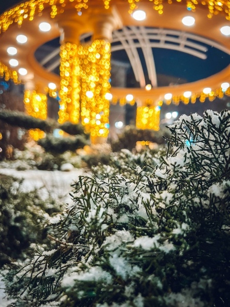 � ������� ������� ����������� ������ � ������� �������� � ��������