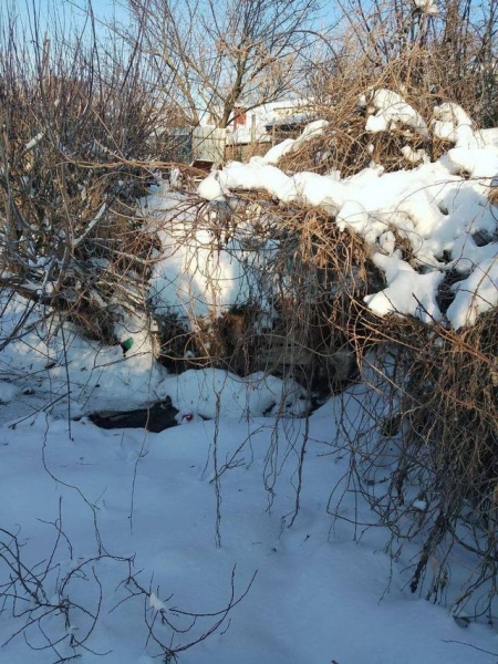 �����-�� ��� ���� ��������� ������� �����