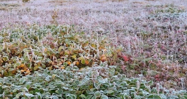 � ������� ������� �������� ��������� &mdash; ���� ����� �����������