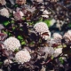 ������ � ������� �������: ���������� ����� � ������� �������