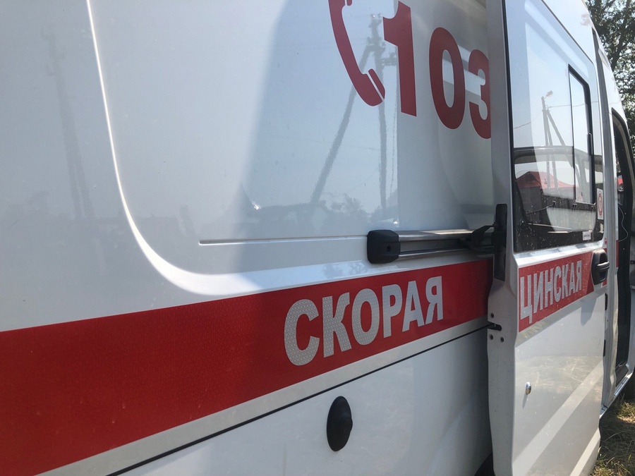 Суд взыскал с администрации Щигров 41,5 тыс. рублей за нападение бездомной собаки на подростка