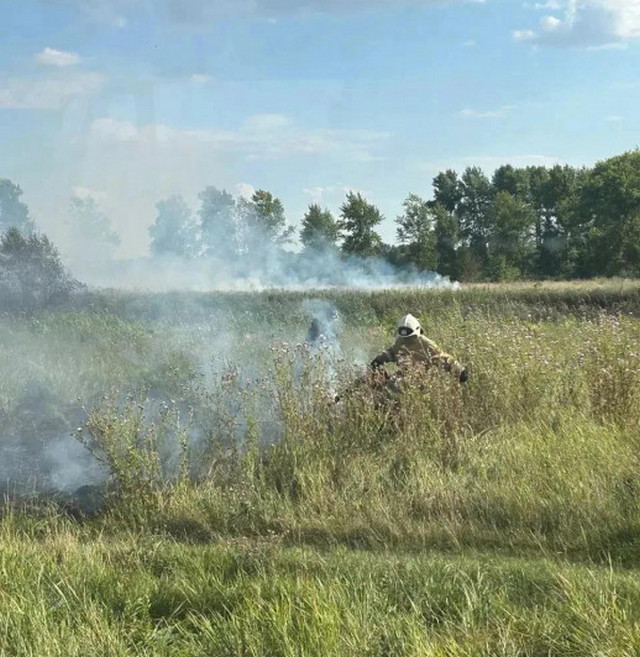 Пожар в пригороде Курска: ликвидирован ландшафтный пожар на площади 600 квадратных метров